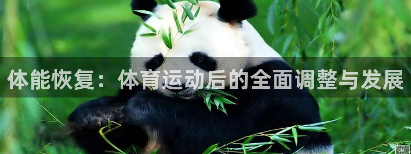 熊猫体育文化有限公司