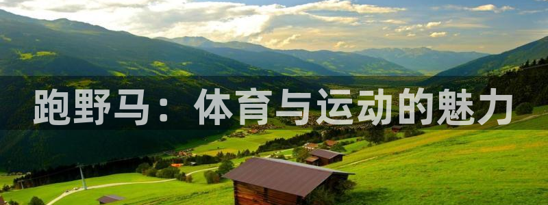 熊猫体育公园