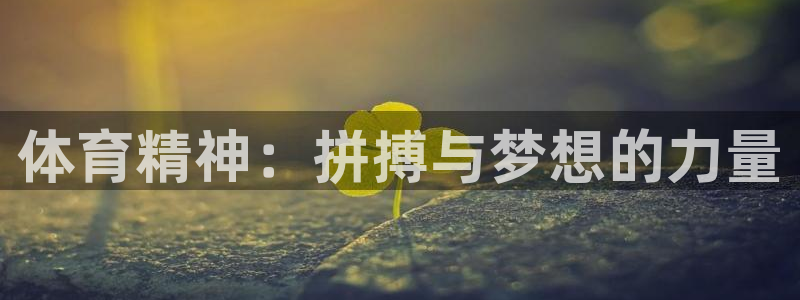 熊猫体育app官方下载最新版