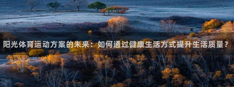 熊猫体育平台官网：阳光体育运动方案的未来：如何通过健康生活方式提升生活质量？
