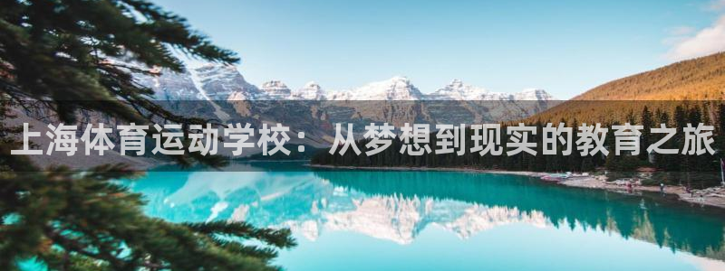 熊猫体育手机版：上海体育运动学校：从梦想到现实的教育之旅