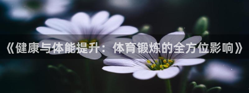 181熊猫体育