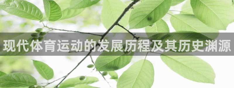 熊猫体育网站