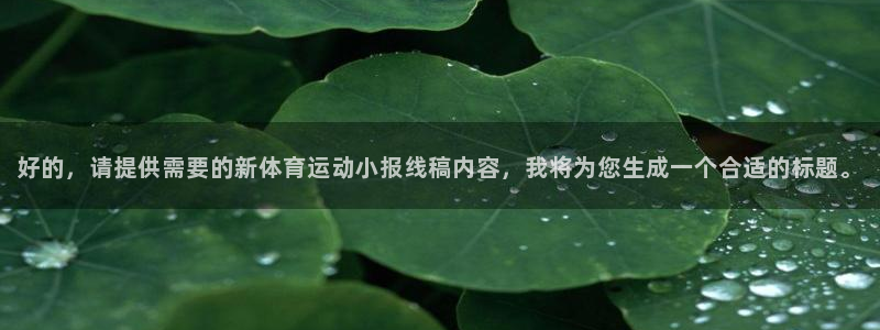中山熊猫体育