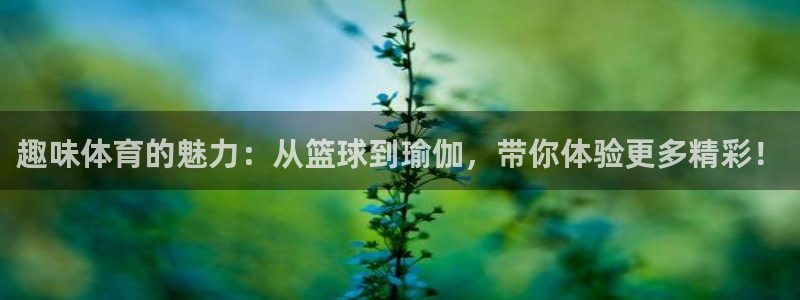 下载熊猫体育
