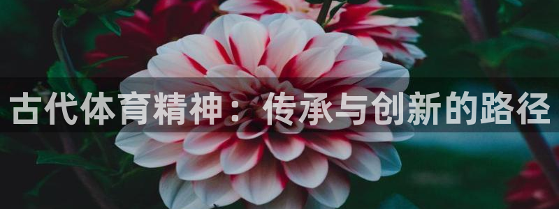 181熊猫体育：古代体育精神：传承与创新的路径