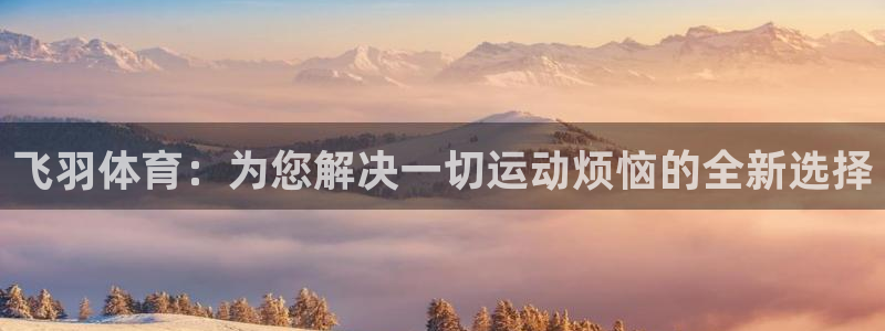 熊猫体育官网首页入口：飞羽体育：为您解决一切运动烦恼的全新选择