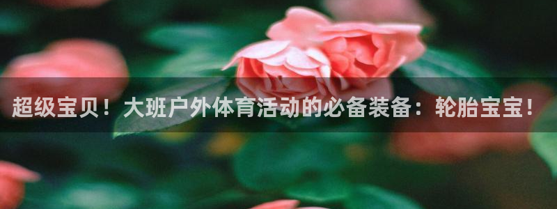 熊猫体育v3.新网页.org：超级宝贝！大班户外体育活动的必备装备：轮胎宝宝！