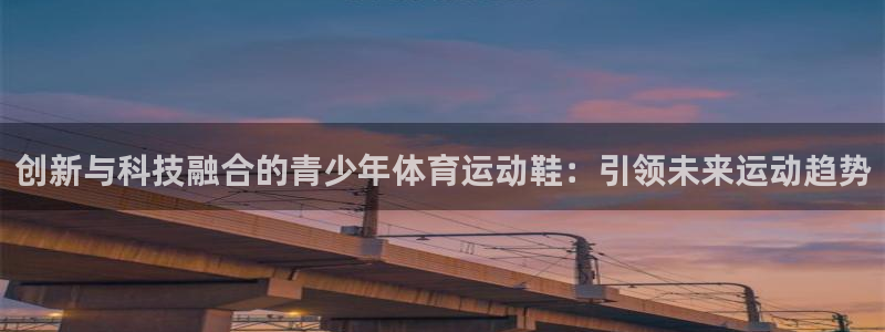 熊猫体育官网：创新与科技融合的青少年体育运动鞋：引领未来运动趋势